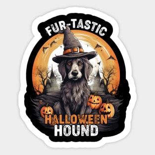 Fur-tastic Halloween Hound Dog Witch Costume Sticker